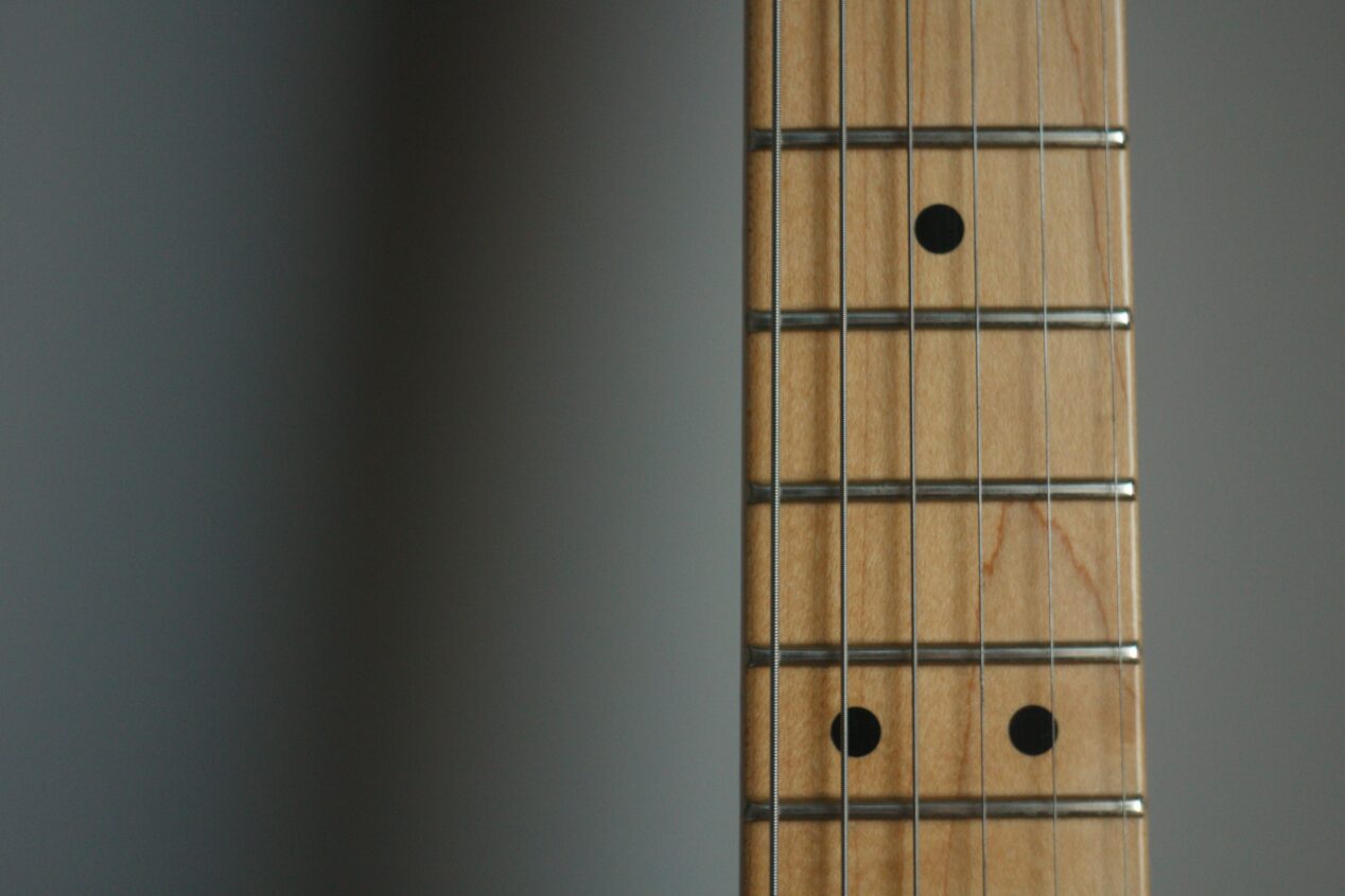 Nickel Silver or Stainless Steel Frets